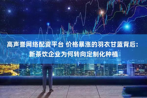 高声誉网络配资平台 价格暴涨的羽衣甘蓝背后: 新茶饮企业为何转向定制化种植