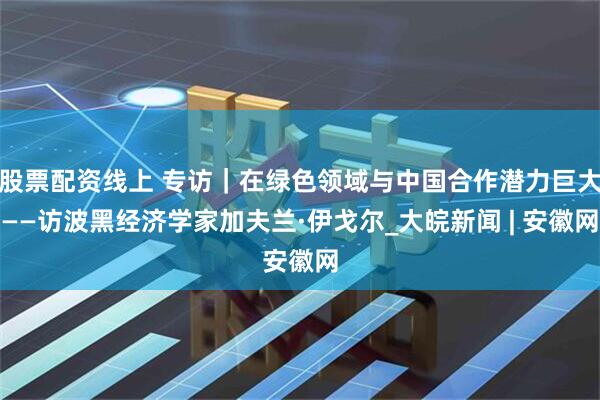 股票配资线上 专访｜在绿色领域与中国合作潜力巨大——访波黑经济学家加夫兰·伊戈尔_大皖新闻 | 安徽网