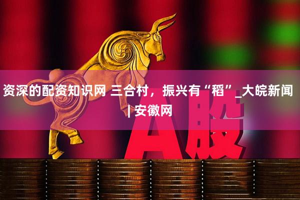 资深的配资知识网 三合村，振兴有“稻”_大皖新闻 | 安徽网